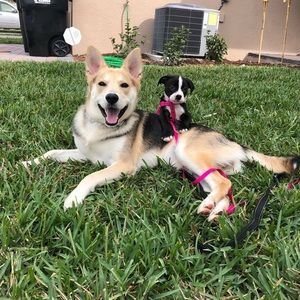 Meet your Posher, Steven